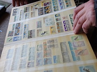 Verzameling oceanie - afbeelding 6 van  7