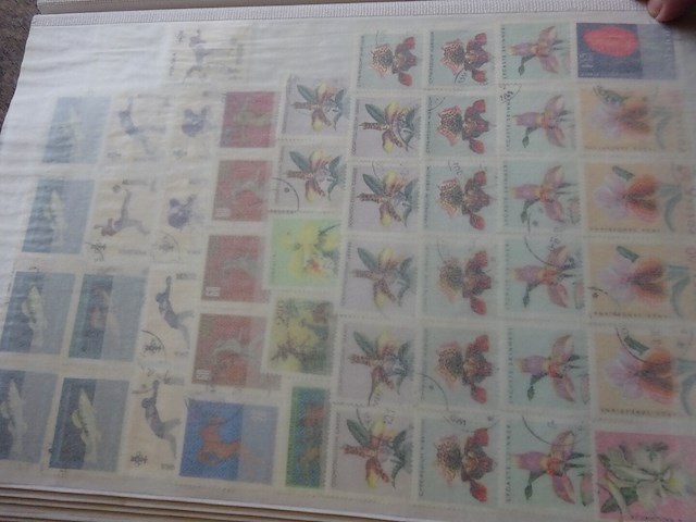 Verzameling polen 60 blz - afbeelding 1 van  6