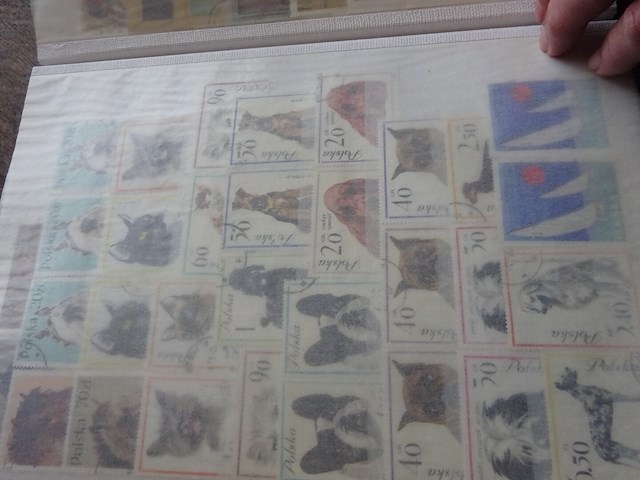 Verzameling polen 60 blz - afbeelding 2 van  6