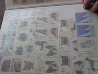 Verzameling polen 60 blz - afbeelding 2 van  6