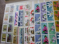 Verzameling polen - afbeelding 4 van  5