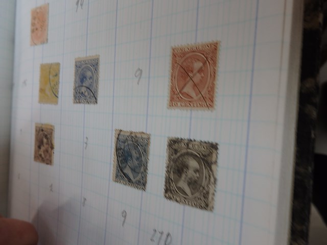 Verzameling spanje - afbeelding 1 van  4