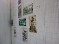 Verzameling spanje - afbeelding 2 van  4