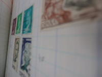 Verzameling spanje - afbeelding 4 van  4