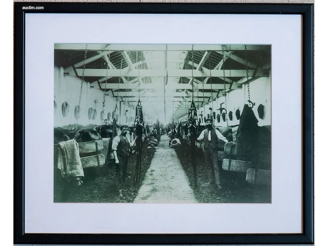 Verzameling van 15 ingelijste historische foto's... - afbeelding 2 van  15