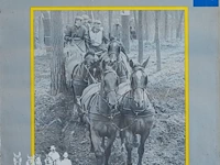 Verzameling van 8 hippische affiches en... - afbeelding 8 van  9