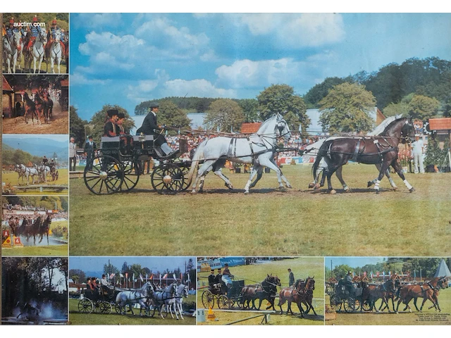 Verzameling van 8 hippische affiches en... - afbeelding 9 van  9