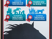 Verzameling van 8 ingelijste paardensport- en... - afbeelding 2 van  8
