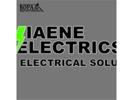 Viaene electrics