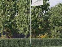 Vidaxl vlaggenmast (max 6,08 m) - afbeelding 1 van  1