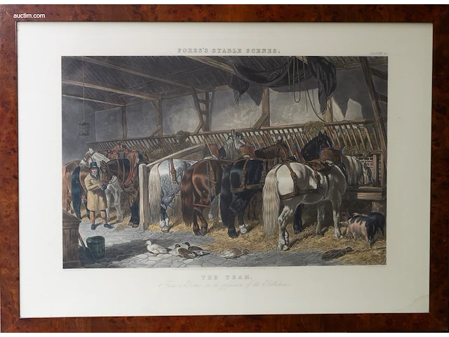 Vier antieke engelse handgekleurde gravures van... - afbeelding 1 van  4