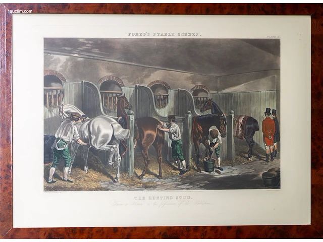 Vier antieke engelse handgekleurde gravures van... - afbeelding 3 van  4