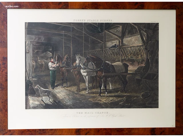 Vier antieke engelse handgekleurde gravures van... - afbeelding 4 van  4