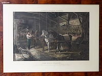 Vier antieke engelse handgekleurde gravures van... - afbeelding 4 van  4
