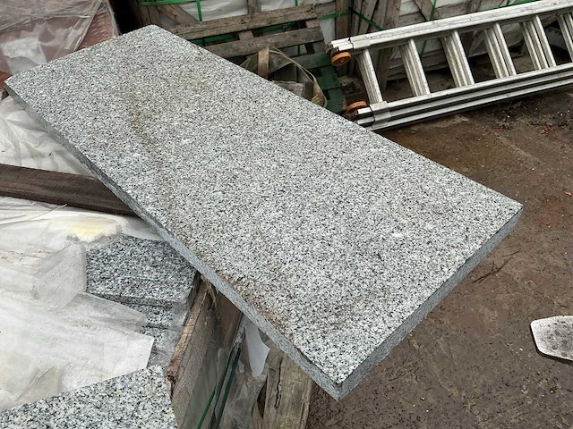 Viet grey, gebouchardeerd, afgerond natuursteen zwembadboord/traptrede - afbeelding 1 van  2