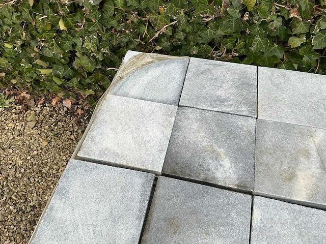 Vietnamese arduin (432x) - afbeelding 2 van  6