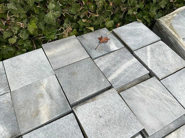 Vietnamese arduin (432x) - afbeelding 3 van  6