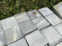 Vietnamese arduin (432x) - afbeelding 3 van  6