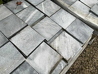 Vietnamese arduin (432x) - afbeelding 4 van  6