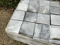 Vietnamese arduin (432x) - afbeelding 5 van  6