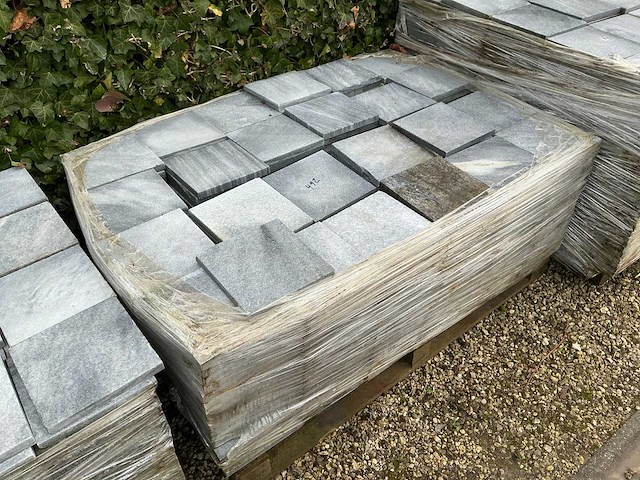 Vietnamese arduin (492x) - afbeelding 1 van  6