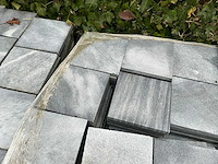 Vietnamese arduin (492x) - afbeelding 2 van  6