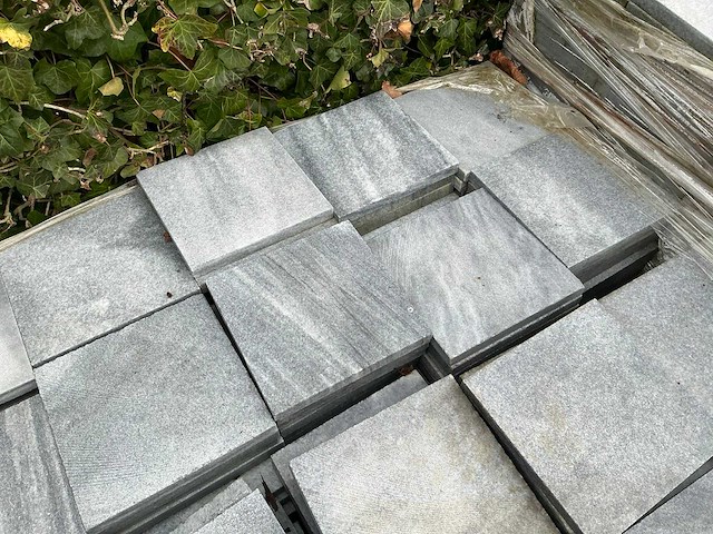 Vietnamese arduin (492x) - afbeelding 3 van  6