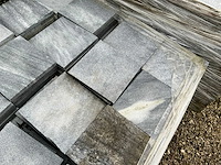 Vietnamese arduin (492x) - afbeelding 4 van  6