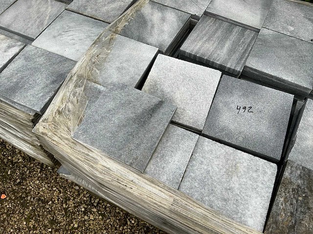 Vietnamese arduin (492x) - afbeelding 5 van  6