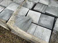 Vietnamese arduin (492x) - afbeelding 5 van  6