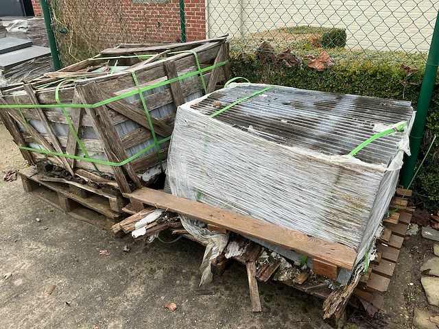 Vietnamese arduin (50x) - afbeelding 1 van  5