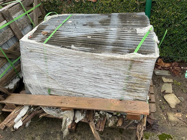 Vietnamese arduin (50x) - afbeelding 2 van  5