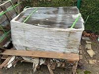 Vietnamese arduin (50x) - afbeelding 2 van  5