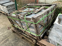 Vietnamese arduin (50x) - afbeelding 3 van  5