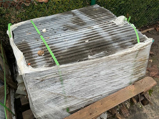 Vietnamese arduin (50x) - afbeelding 5 van  5