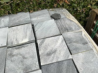 Vietnamese arduin (930x) - afbeelding 3 van  6