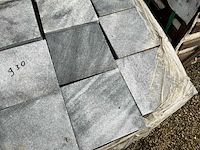 Vietnamese arduin (930x) - afbeelding 4 van  6