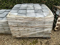 Vietnamese arduin (930x) - afbeelding 6 van  6