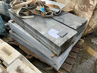 Vietnamese arduin dorpel (6x) - afbeelding 1 van  3