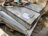 Vietnamese arduin dorpel (6x) - afbeelding 2 van  3