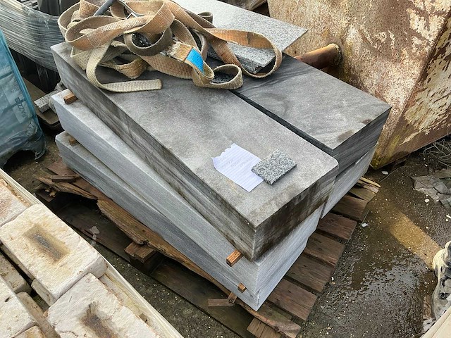 Vietnamese arduin dorpel (6x) - afbeelding 3 van  3