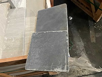 Vietnamese blauwsteen natuursteen tuintegel - afbeelding 1 van  4