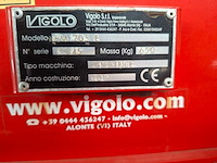 Vigolo - 2019 - fm2 205 - frees - afbeelding 3 van  4