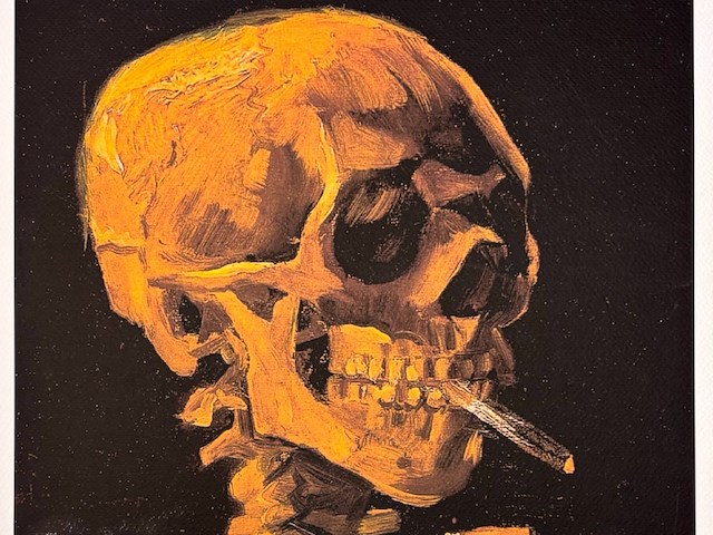 Vincent van gogh - afbeelding 2 van  4