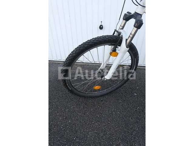 Viper bike - afbeelding 19 van  22
