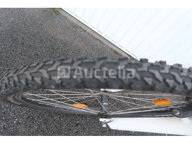 Viper bike - afbeelding 21 van  22