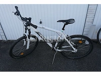 Viper bike