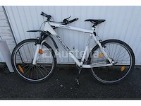 Viper bike