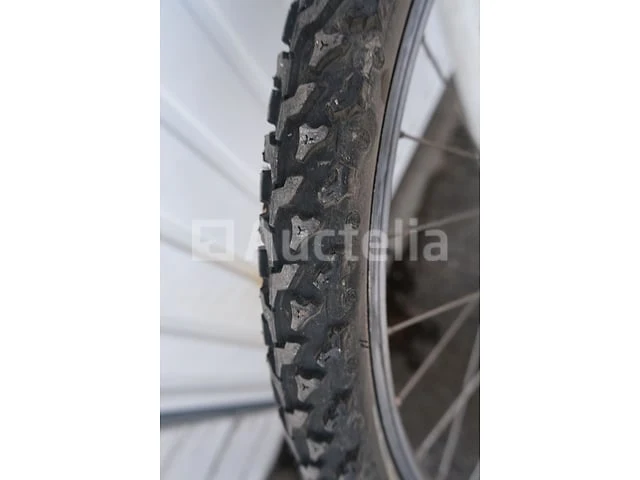 Viper bike - afbeelding 14 van  19