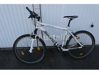 Viper bike